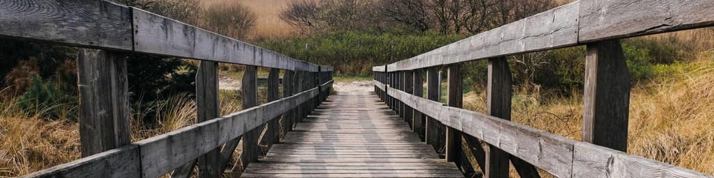 A wooden boardwalk through the marsh grasses